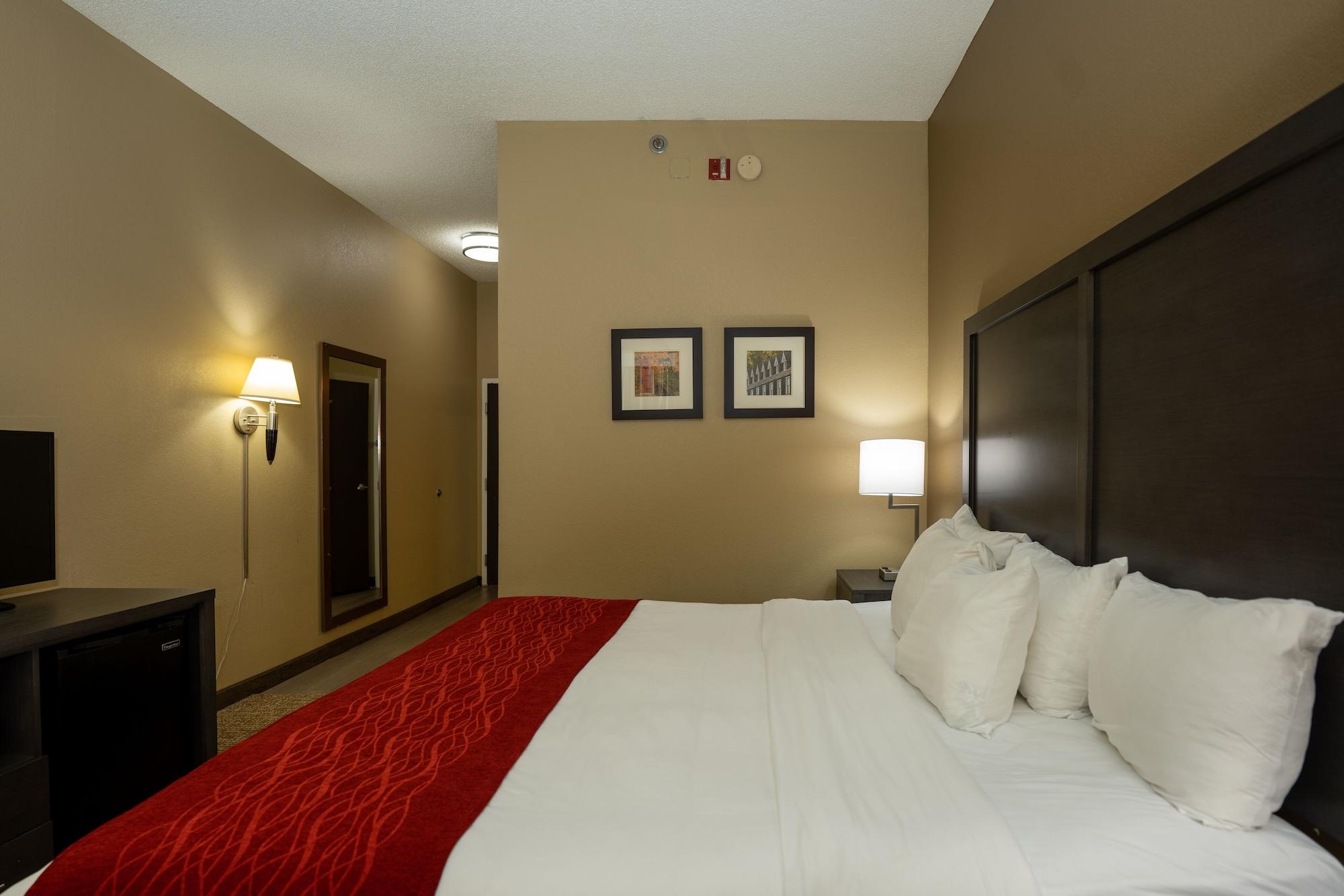 Comfort Inn Opelika - Auburn Exterior foto