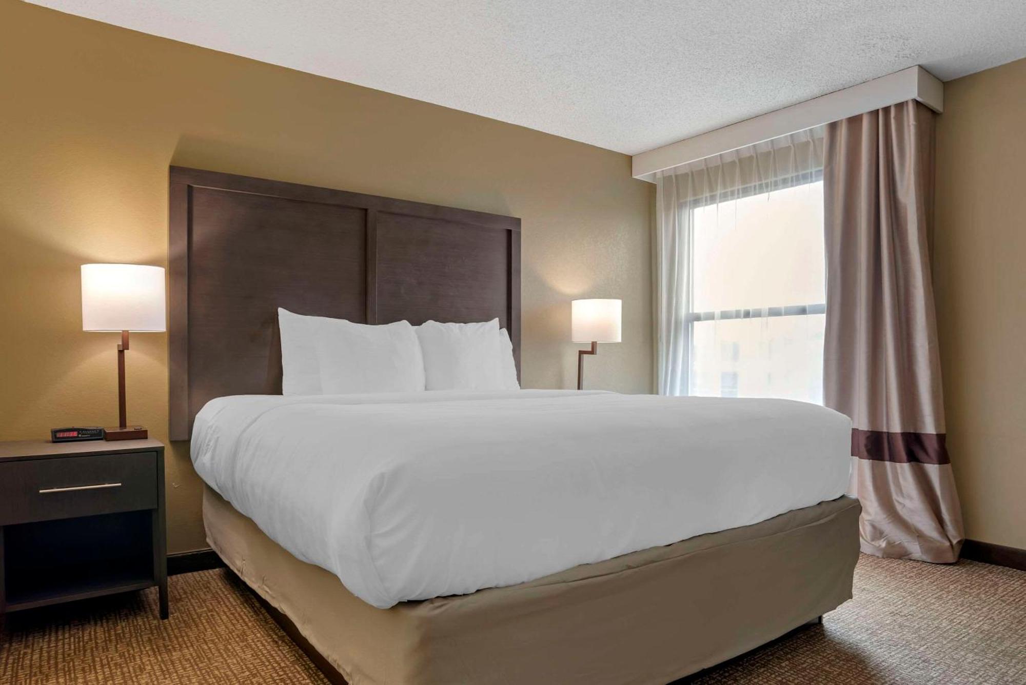 Comfort Inn Opelika - Auburn Exterior foto